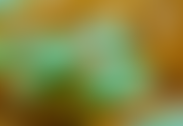 San Bernardo marca el inicio de la cosecha algodonera con rindes que ilusionan al sector.