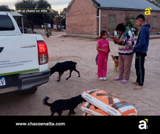 El Gobierno del Chaco con el programa "PROGANO" sigue asistiendo a productores rurales por la crecida del río Bermejito
