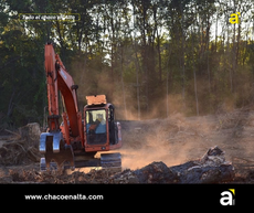 La Justicia frenó los desmontes y volvió a proteger los bosques nativos del Chaco