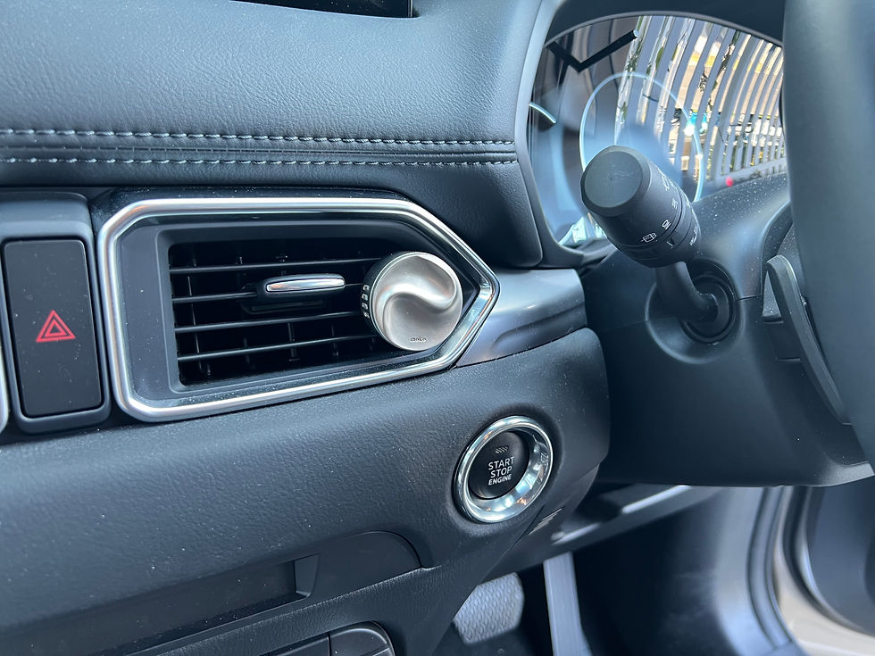 Thumbnail: UNSCENTED CAR DIFFUSER
