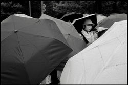 Hiroshima, Japon. 09/25