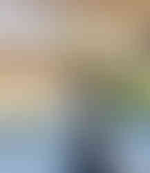 bonnet springs park event