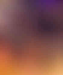 lion tamer actress orlando