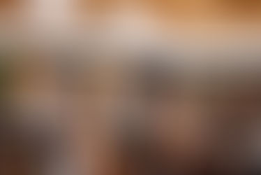 Bonnet Springs Park Event Performance