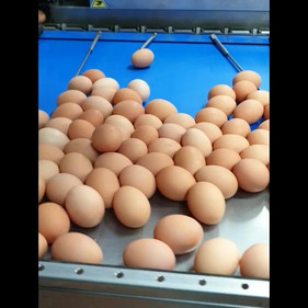 20190415_130458_001 (1).mp4