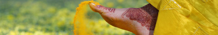 pexels-padsala-umesh-480803821-25932038.JPG