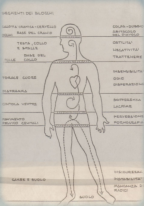 bioenergetica_edited_edited_edited_edite
