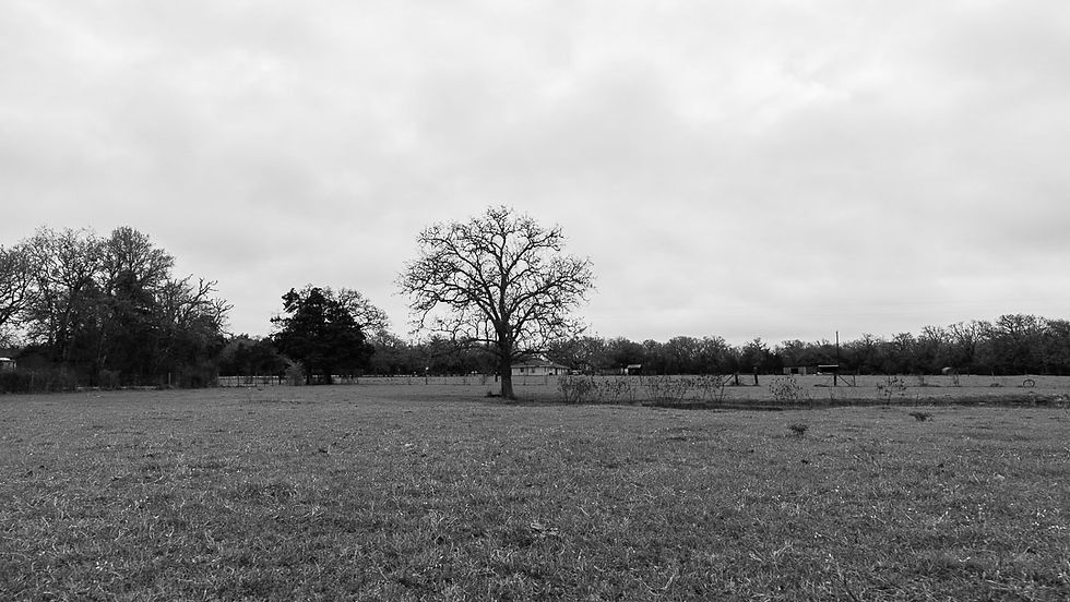 DSC01668.jpg