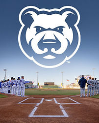 cub.jpg