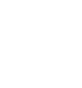 trofeo