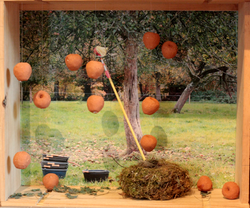 Il pleut des pommes
