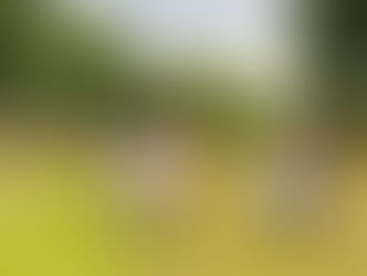 Hơi thở cầu vồng