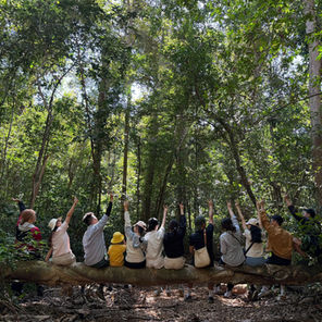 Trekking rừng Mã Đà: Hành trình khám phá thiên nhiên và nuôi dưỡng thân tâm trí