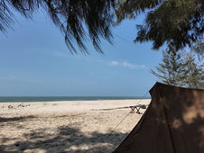 TRẠI HÈ ALPHA SUMMER CAMP 2026 CÓ GÌ ĐẶC BIỆT