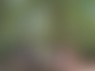 CÔNG VIÊN DI SẢN ASEAN KHU BẢO TỒN THIÊN NHIÊN - VĂN HÓA ĐỒNG NAI