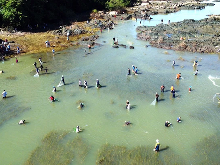 Thủy điện Hồ Trị An ngừng xả lũ người dân tranh nhau bắt cá dưới chân đập tràn