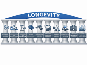 Longeviy analysiert