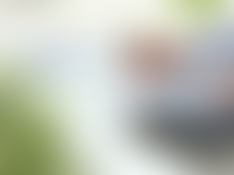 Typologies de placement pour une gestion de patrimoine personnel