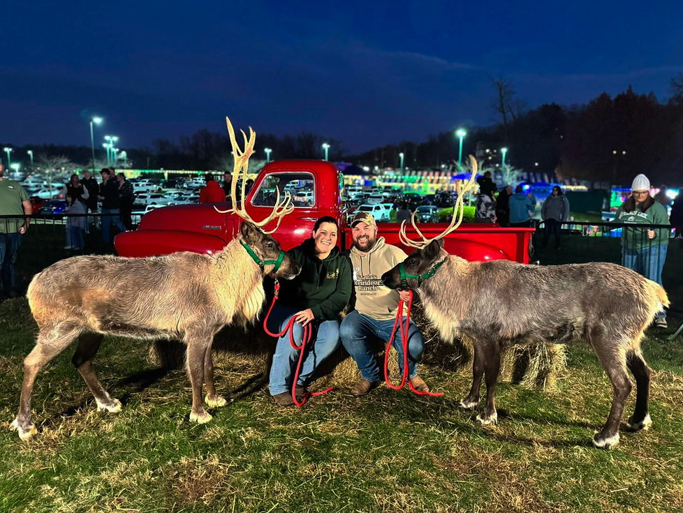 live-reindeer-holiday-display-indiana