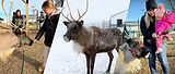 santas-reindeer-ranch-holiday-season.jpg