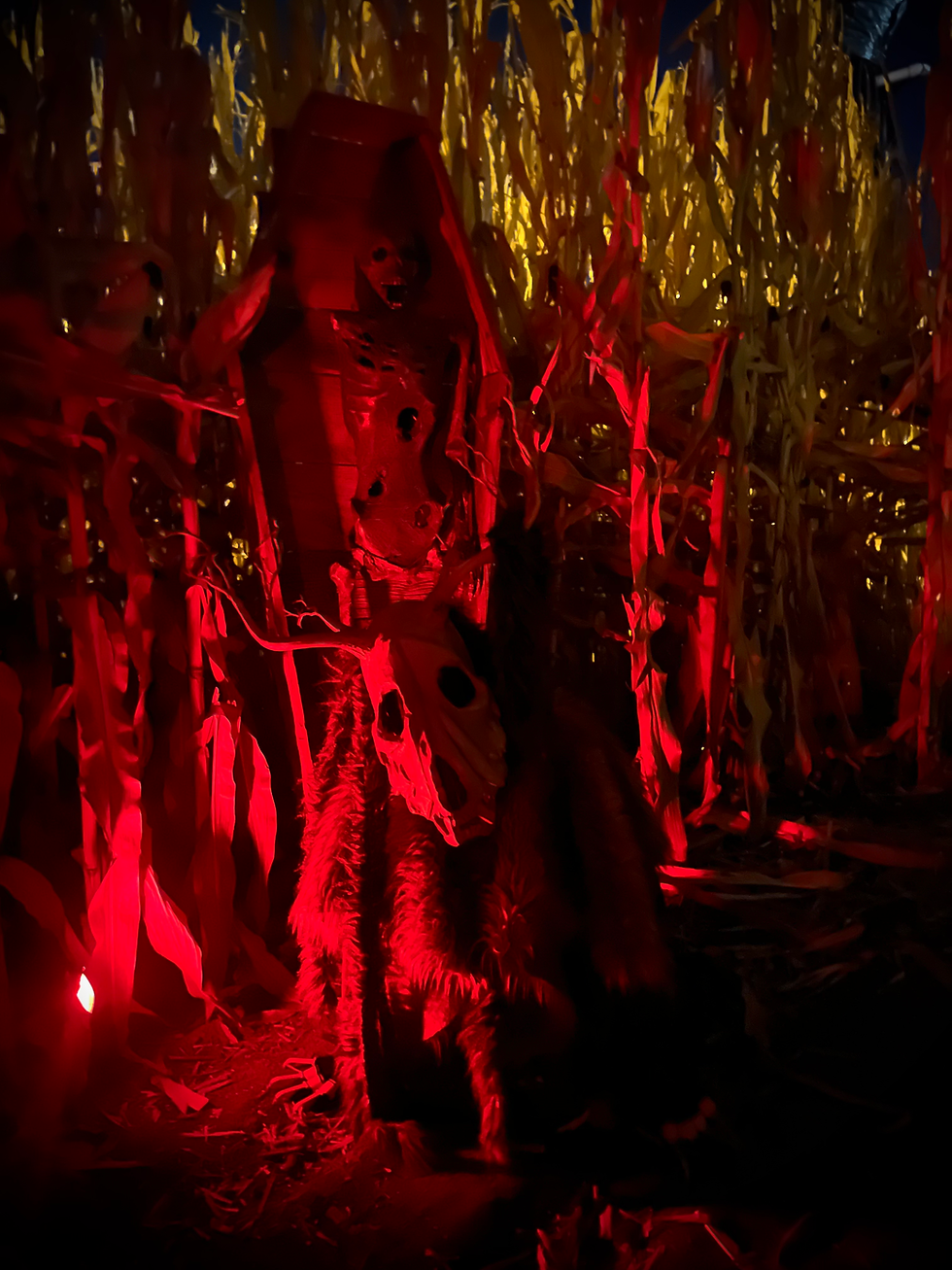 Spooky masked figure in a cornfield with red lighting.