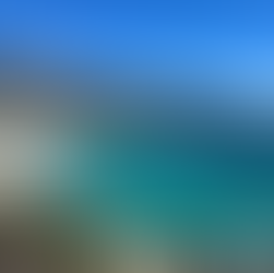 Traveler or Tourist?