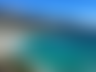 Traveler or Tourist?