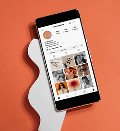 Lead PR social media management