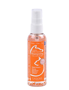 shampoing sec png.png