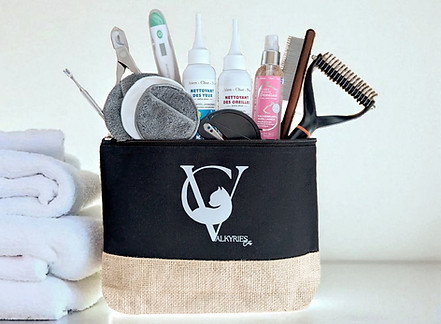 Modèle trousse ouverte png_edited.jpg