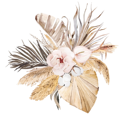 BOHO-01.png