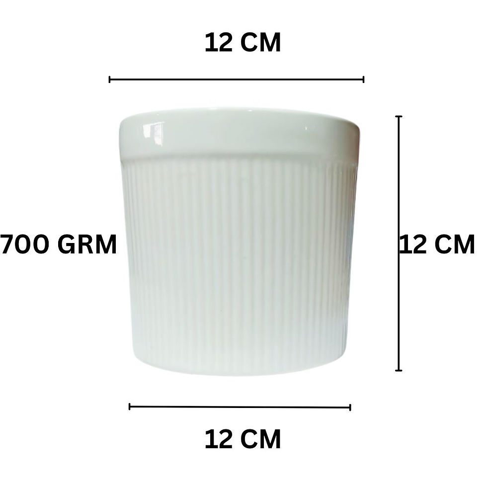White Line Cylinder Medium Planter Dimension.jpg