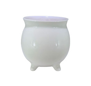 Small Pitcher Planter