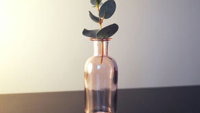 Affordable Beauty Tools: The Best Eyelash Curlers Under $20