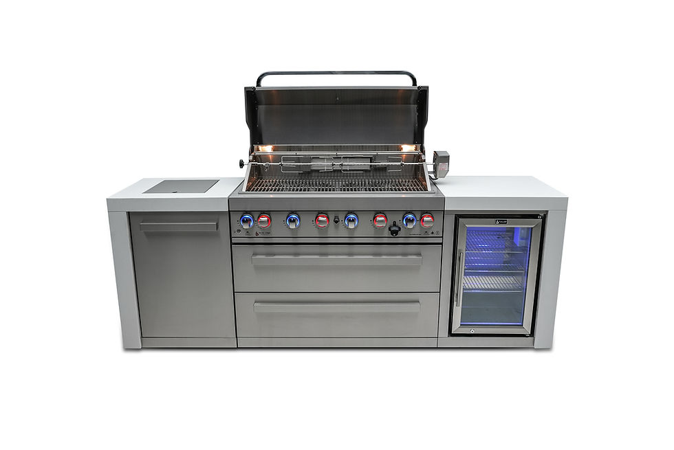 Thumbnail: Stainless Steel Grill Open Lid