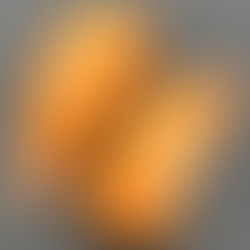 Nigiri – esencja sushi w najczystszej formie