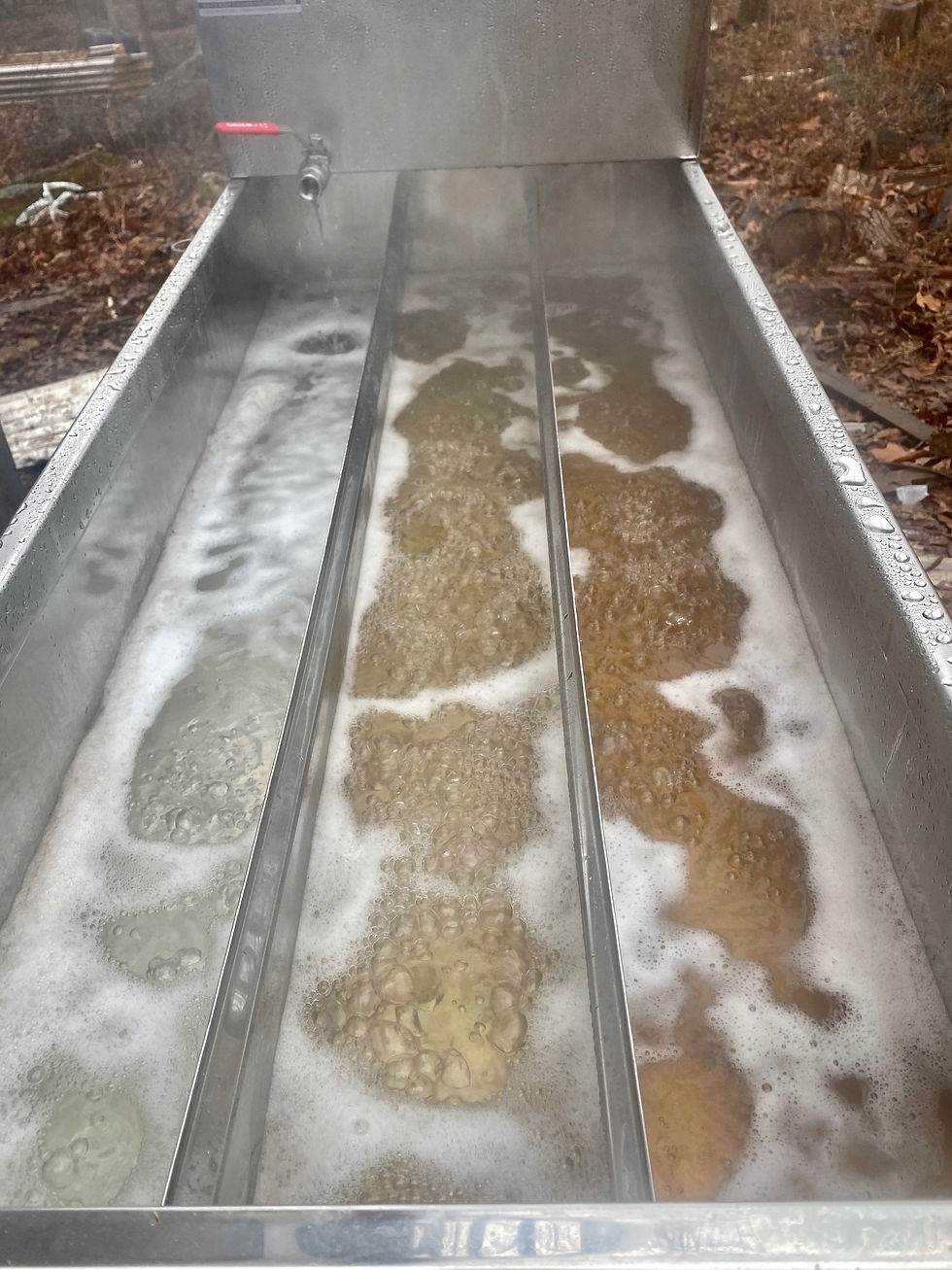 Thumbnail: Black Walnut Syrup