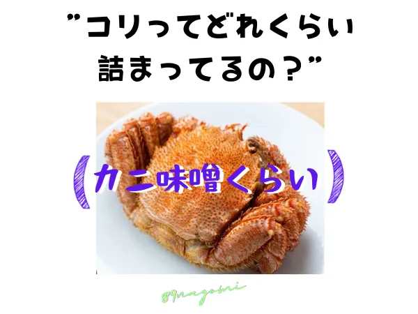 カニ味噌くらい