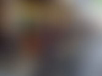 Ranní ptáče dál doskáče