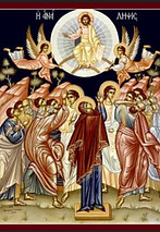 Ascencion icon_edited.jpg