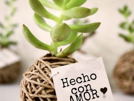 Beneficios de tener plantas en casa