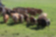 FINCA DONADO.jpg