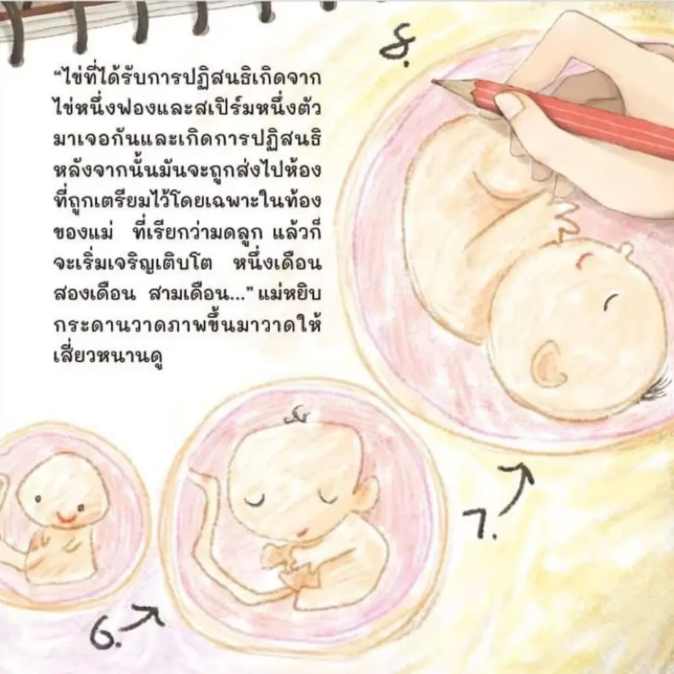 ภาพขนาดย่อ: แม่ครับผมเกิดมาได้ยังไง -- นิทานสำหรับเด็ก นิทานปกแข็ง เรียนรู้ที่จะเติบโต