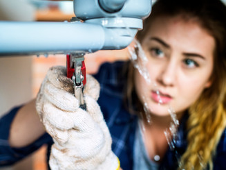 Plumbing Leaks