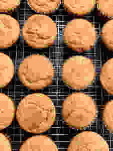 Baked cupcakes on wire rack