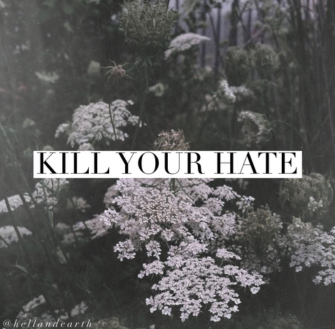 IMG_9501.PNG