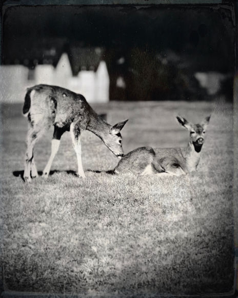 TinType-761596526.155323