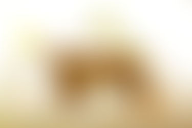 Tutti i vantaggi dei detersivi fatti in casa 