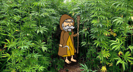 Basi per coltivazione della Cannabis OUTDOOR