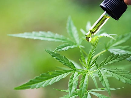 Propietà Benefiche del CBD